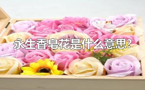 永生香皂花是什么意思?