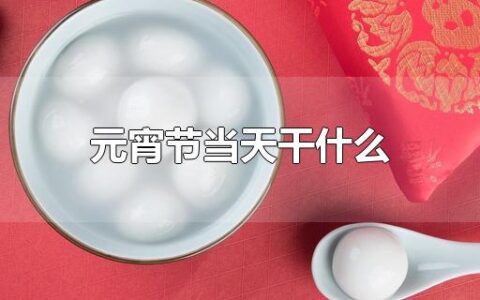 元宵节当天干什么