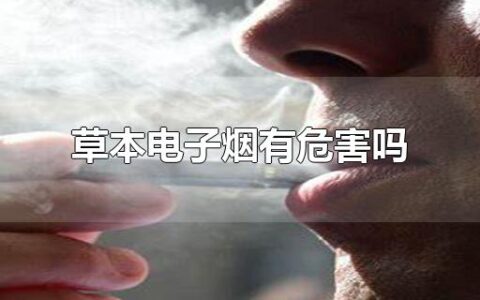 草本电子烟有危害吗