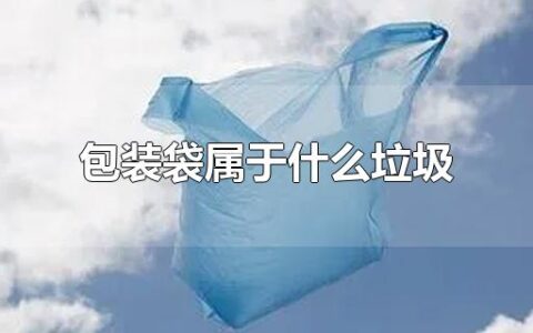 包装袋属于什么垃圾