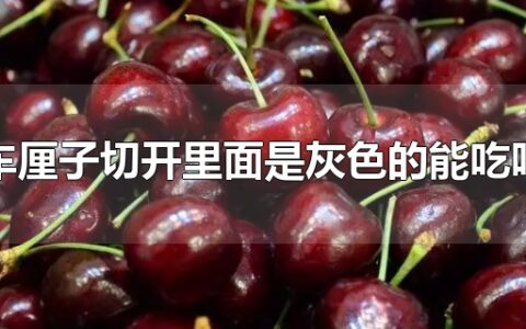 车厘子切开里面是灰色的能吃吗