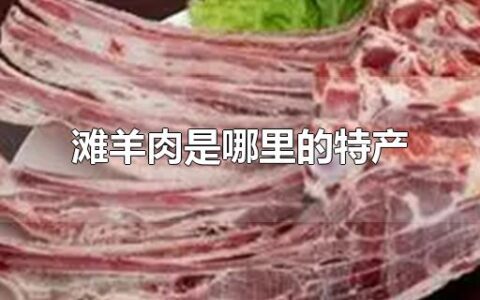 滩羊肉是哪里的特产