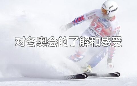 对冬奥会的了解和感受