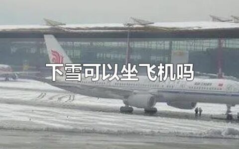 下雪可以坐飞机吗