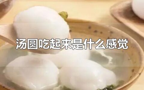 汤圆吃起来是什么感觉