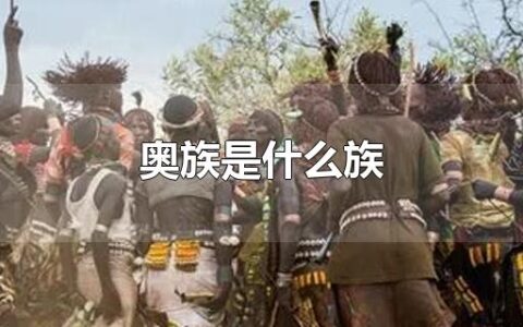 奥族是什么族