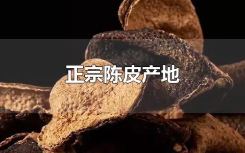 正宗陈皮产地