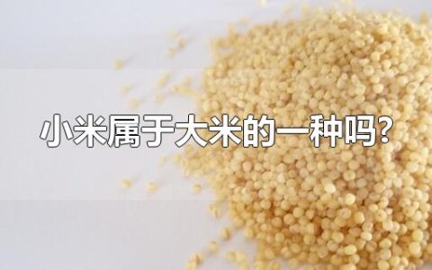 小米属于大米的一种吗?