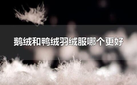 鹅绒和鸭绒羽绒服哪个更好 鹅绒和鸭绒羽绒服哪个更贵