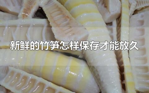 新鲜的竹笋怎样保存才能放久 新鲜竹笋可放于冰箱冷藏区保存