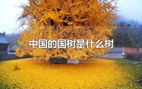 中国的国树是什么树 中国的国树是银杏