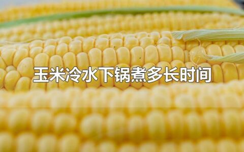 玉米冷水下锅煮多长时间 玉米有什么吃法