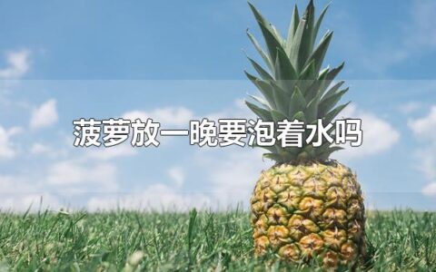 菠萝放一晚要泡着水吗 菠萝属于什么植物