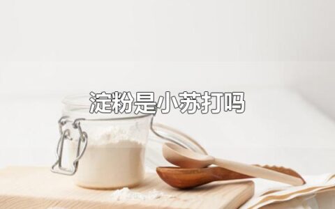 淀粉是小苏打吗 淀粉不是小苏打