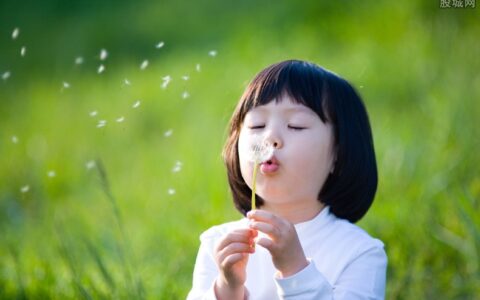 33岁女子长期喝蒲公英泡水身体有收获好处吗？ 为你揭晓答案