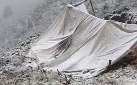 甘肃肃南七月飞雪，有牧民帐篷被压塌
