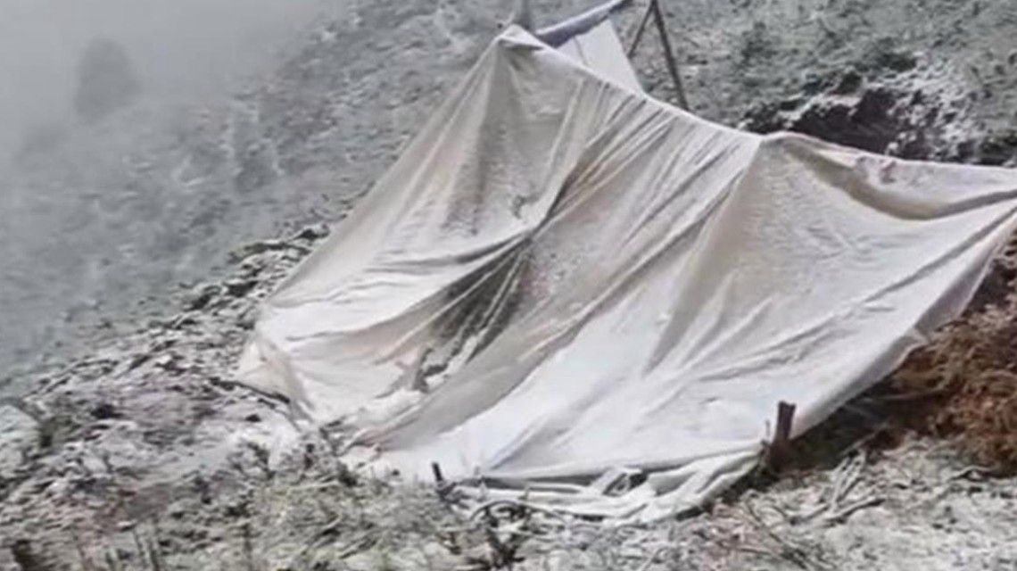 图片：甘肃肃南七月飞雪 有牧民帐篷被压塌