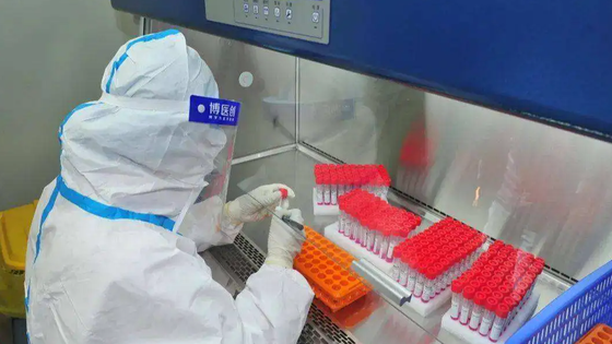 图片：甘肃新增本土47+306