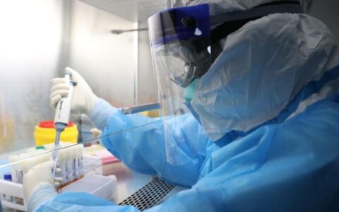 单检15元混检3元！22日起陕西省核酸检测价格下调