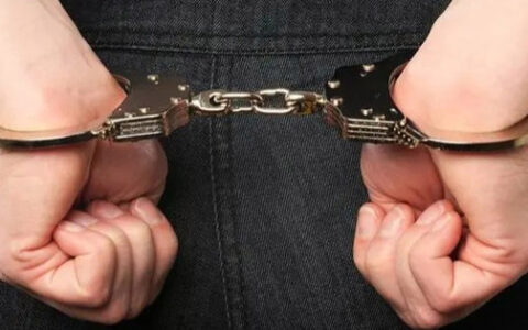 公安机关摧毁6款淫秽漫画APP，查冻涉案资金5100余万元