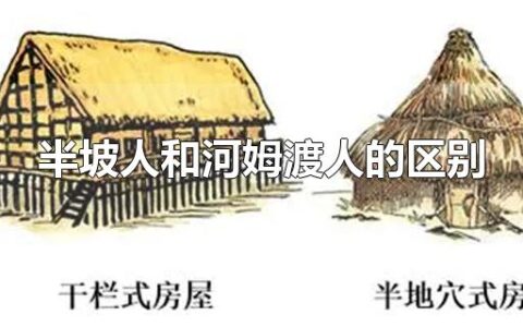 半坡人和河姆渡人的区别