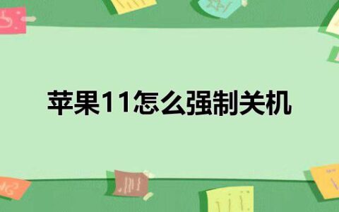 苹果11怎么强制关机