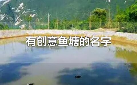 有创意鱼塘的名字