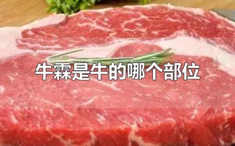 牛霖是牛的哪个部位