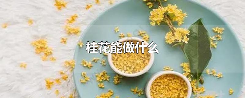 arabica%咖啡哪个国家的