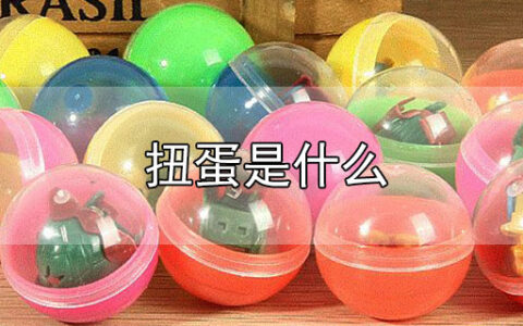 扭蛋是什么