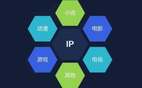 ip是什么意思?