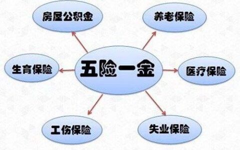 五险是哪五种保险？