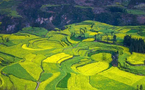 中国式现代化道路新在哪里（学术圆桌）