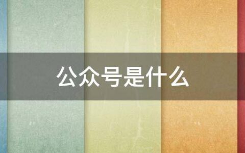 公众号是什么
