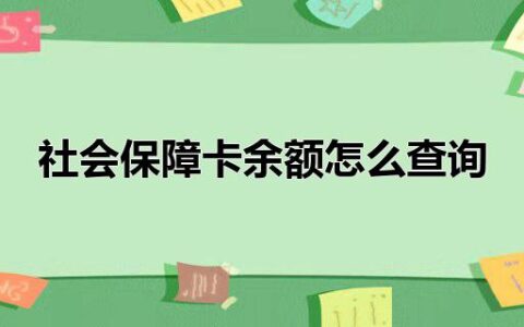 社会保障卡余额怎么查询