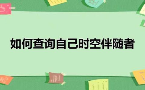 如何查询自己时空伴随者