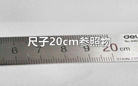 尺子20cm参照物