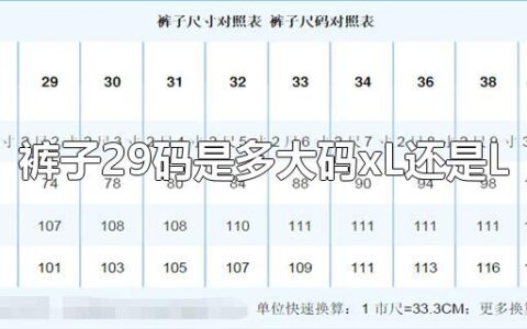 裤子29码是多大码xL还是L