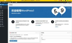 WordPress程序网站更换域名后文章图片不显示的解决方法