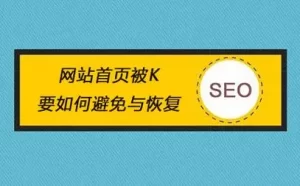 网站被K过的具体表现,排名要如何恢复?