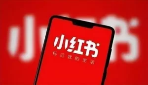 小红书如何快速日涨粉1000+？这里有3大技巧！