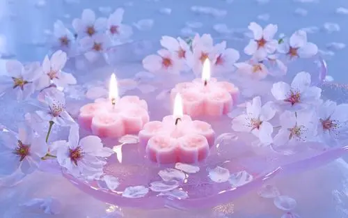 索引是什么意思