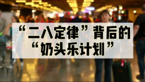 奶嘴乐计划详情介绍
