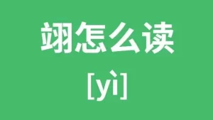 翊读什么 翊如何读