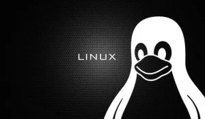 linux批量压缩图片文件，宝塔面板2步完成压缩