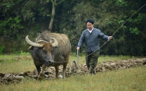 南昌退休市长回乡当农民，13年后成“网红”