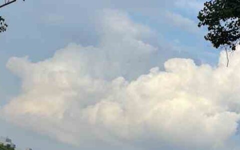 注册公司名字好听简洁