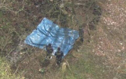 华人夫妇日本遇害细节曝光 店内异样引警觉