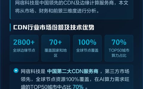 网宿科技长期投资价值深度解析
