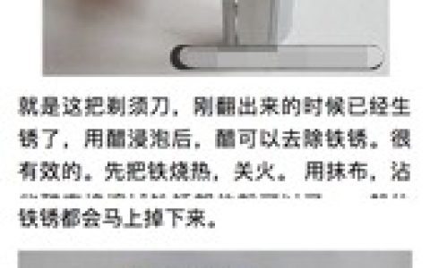 【官方说法】飓风算法2.0解读